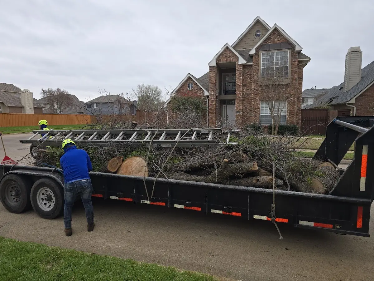 Expert Tree Removal with proper safety equipment in Unionville